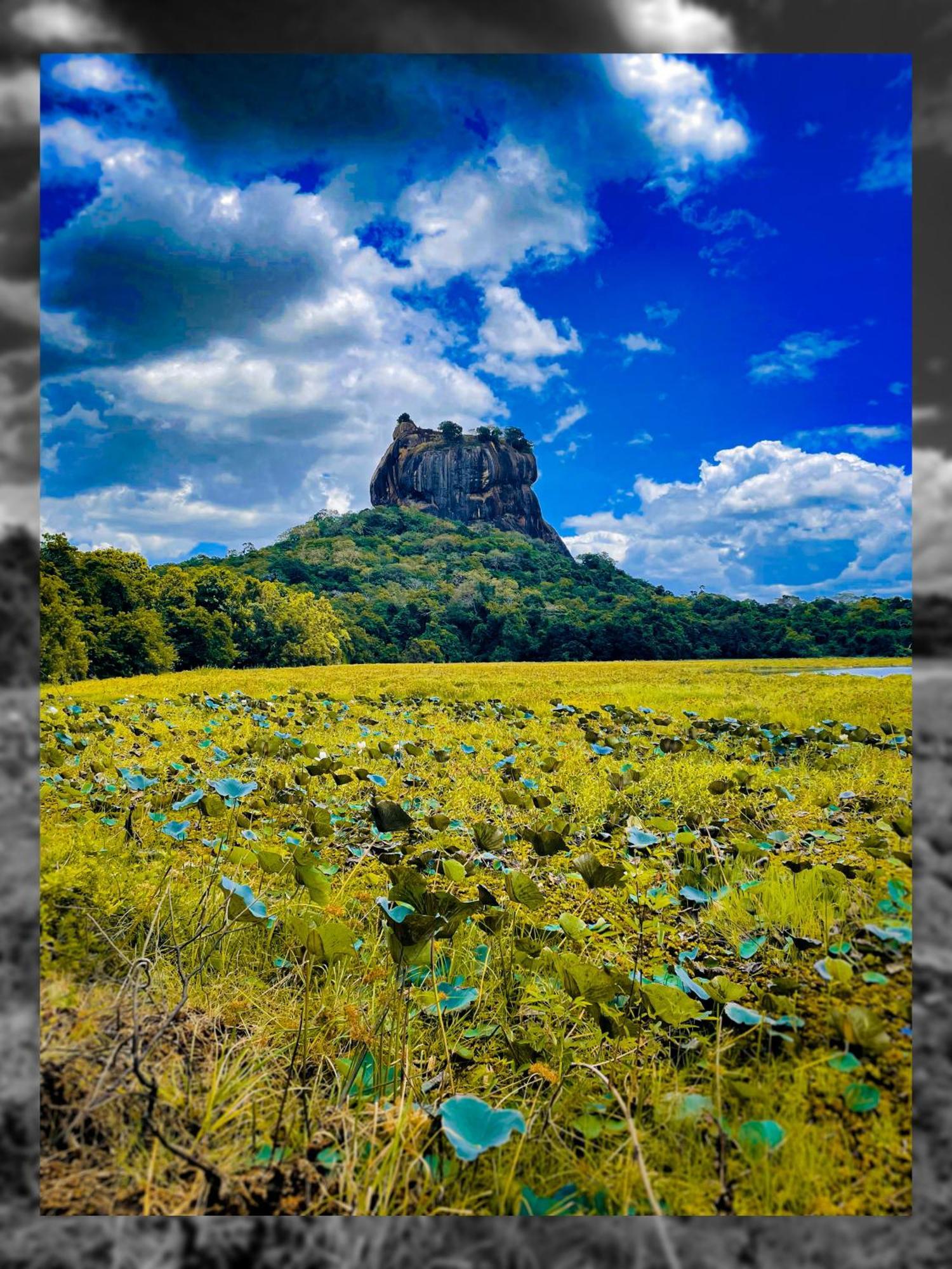 The Lotus Villa Sigiriya Ngoại thất bức ảnh